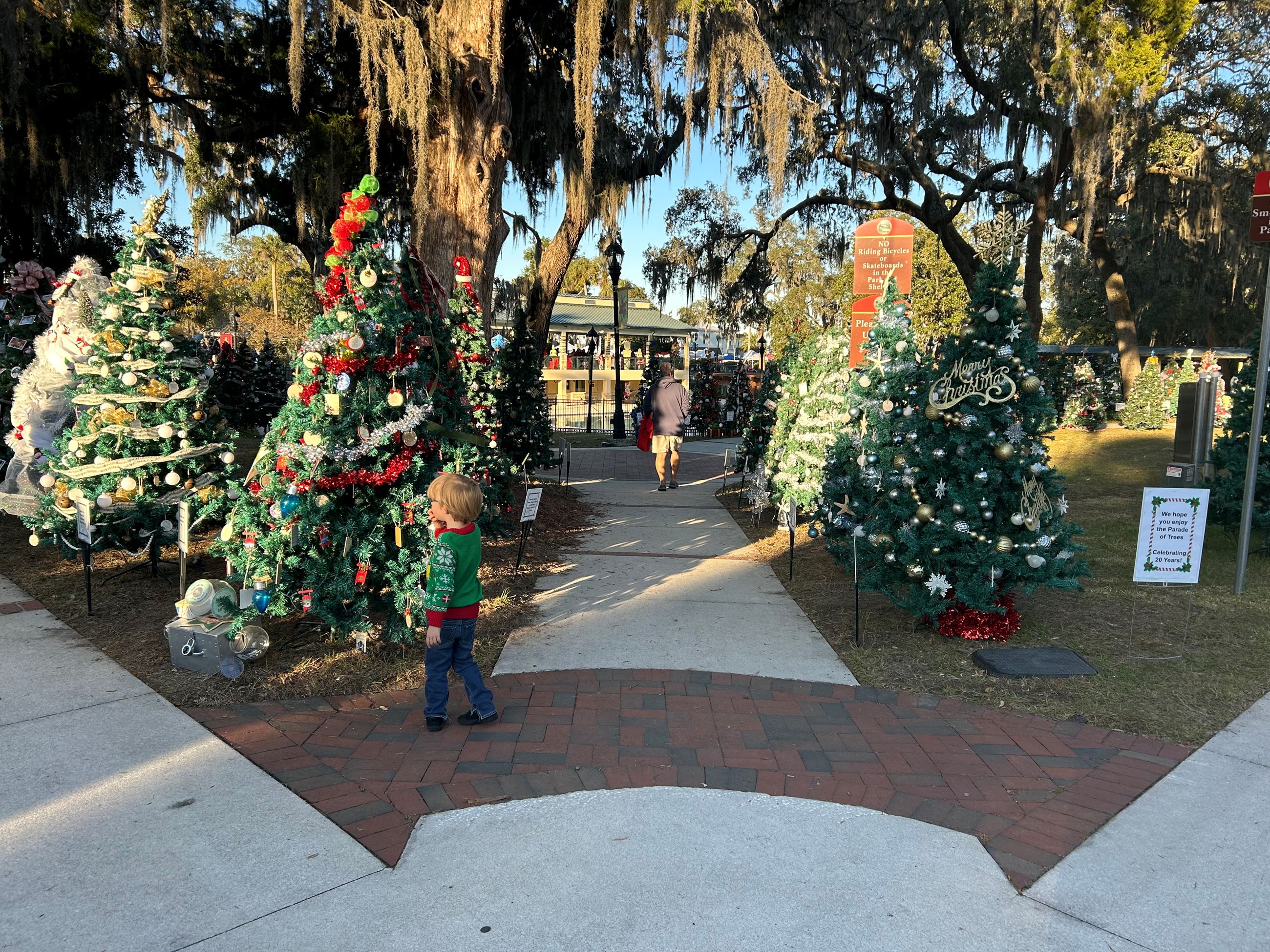 Child at the entrance of parade of trees at Spring Park