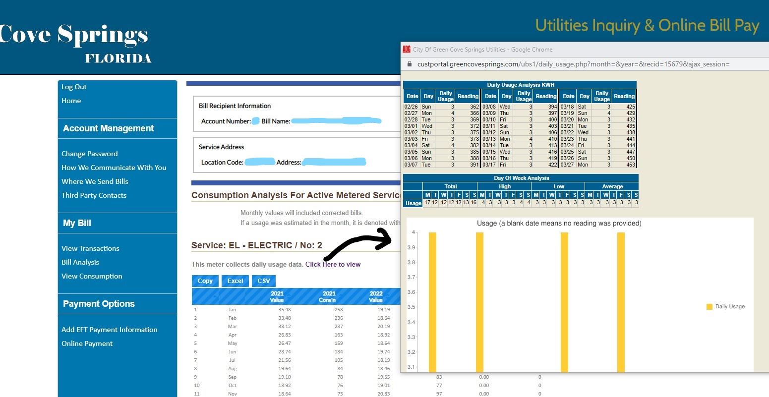 page pop-up showing daily electric usage for specific address